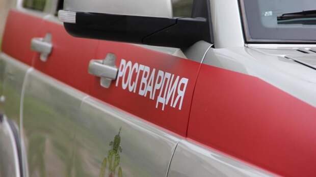 В МВД раскрыли причины перестрелки в Назрани