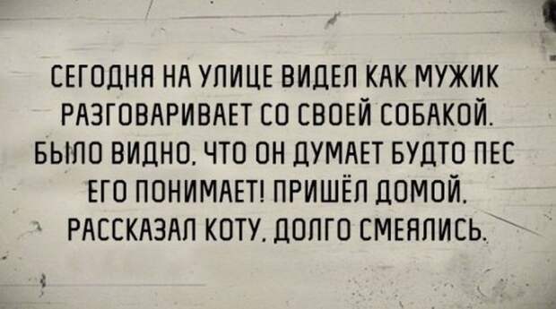 Подборка веселых фото из сетей