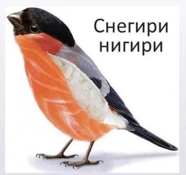 Лучшие шутки и мемы из Сети