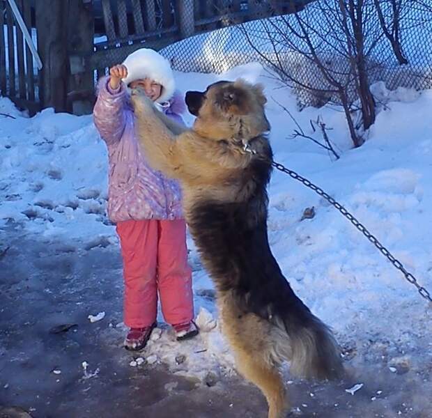 Про друга Про друга