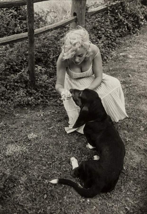 Мэрилин Монро со своим псом Хьюго, 1957 год