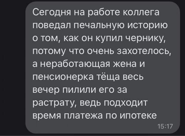 5. Черника улучшила зрение, ведь мужчина понял, с кем живет под одной крышей