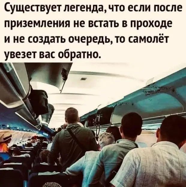 Колобок был очень головастый парень! Каждый, после, знакомый, песалОдин, полный, русский, вернись, домой, Сначала, Нельзя, прививки, сразу, табличку, сексом, заниматься, Можно, Доктор, семье, насилия, страдает