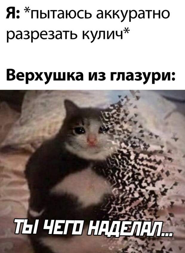 Смешные картинки 3 мая 2021