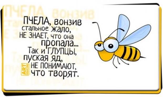 На волне позитива...