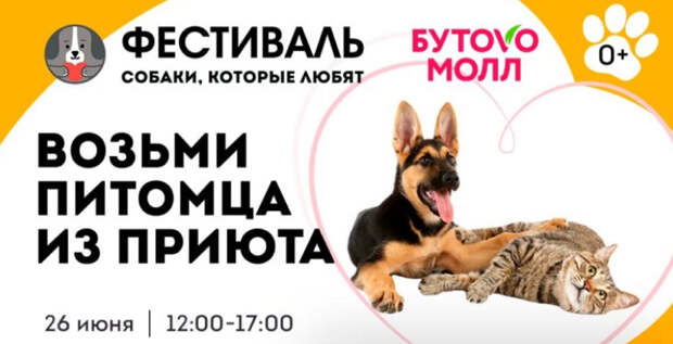 Афиша: благотворительный триатлон, два фестиваля помощи животным и Васильковый пикник