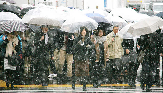 Tokyo First Snow In November 2016