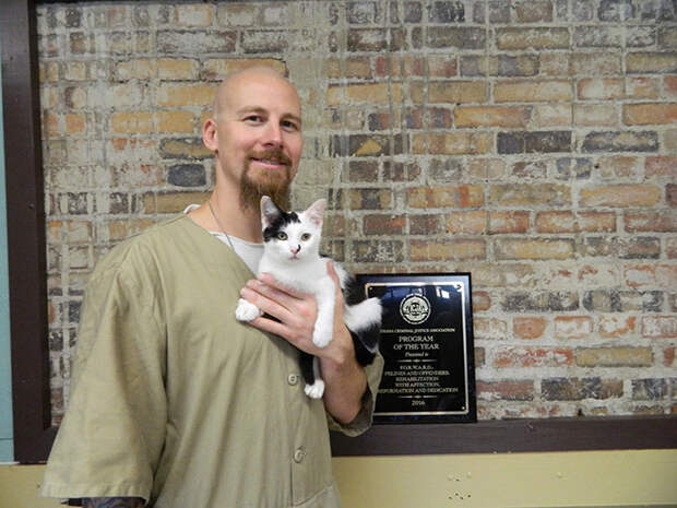 Зэки и котаны: в Штатах запустили новую программу реабилитации заключенных