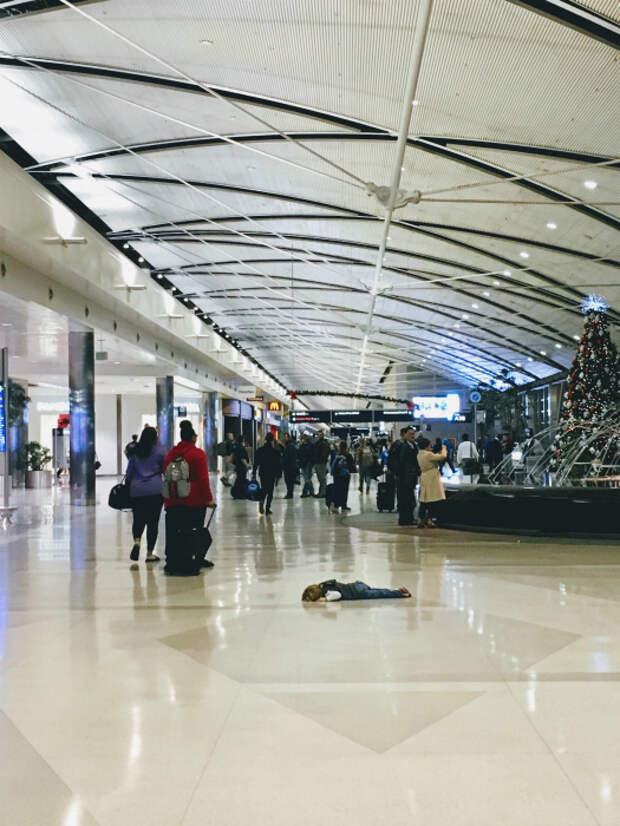 Настроение: лежать на полу и прикидываться мертвым. | Фото: Reddit.