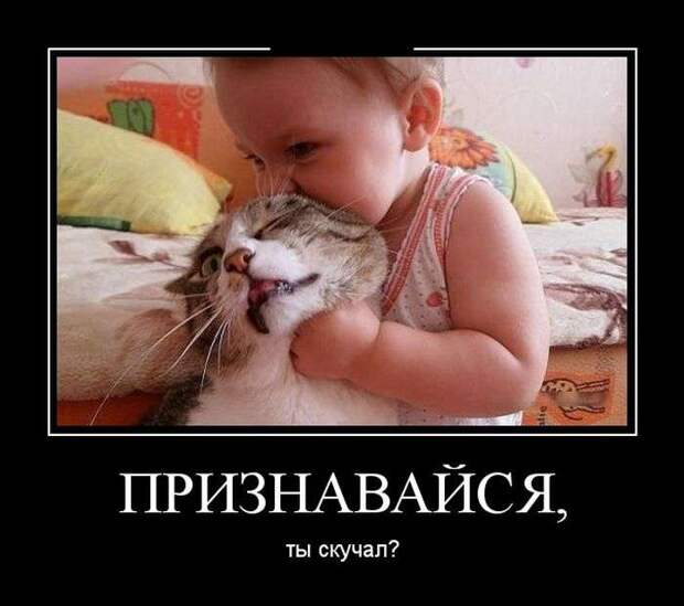 1RqCC9WSgXo