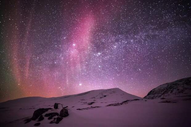 Purple night