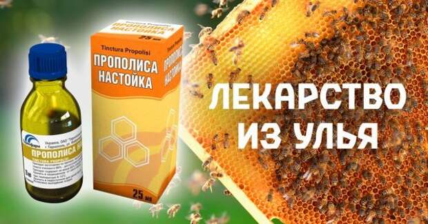 thumb-600x315 (1)