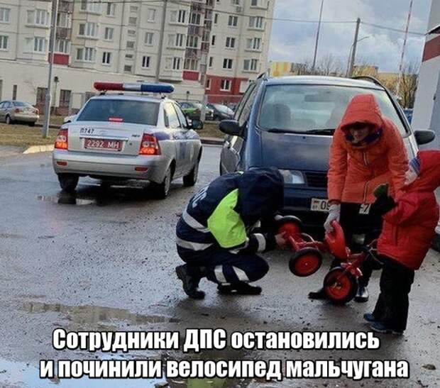 Подборка картинок. Вечерний выпуск (25 фото)