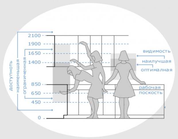 На какой высоте располагается полка, до которой без стремянки сможет дотянуться женщина среднего роста? Где заканчивается