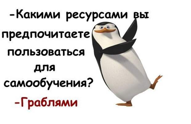 Картинки по запросу Как наступают на грабли разные знаки зодиака 