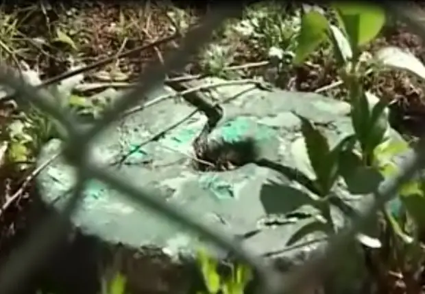 Записки колымчанина 375