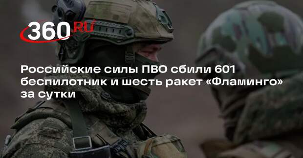 Минобороны сообщило об уничтожении шести ракет «Фламинго» и 601 БПЛА
