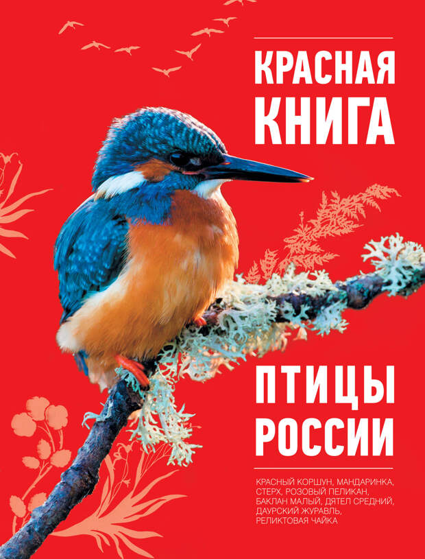 Животные и птицы из красной книги россии фото и описание для детей