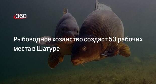 Рыбоводное хозяйство создаст 53 рабочих места в Шатуре