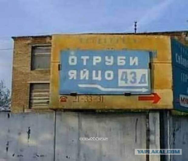 Надписи и объявления с просторов