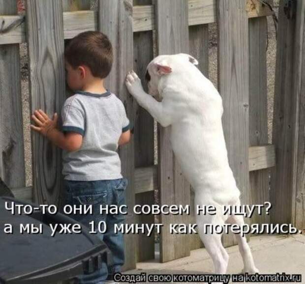не ищут (450x420, 46Kb)