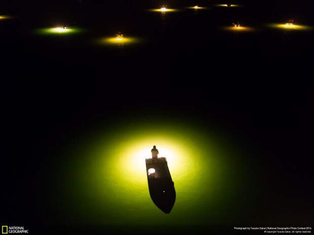 national_geographic_2014_photo_11