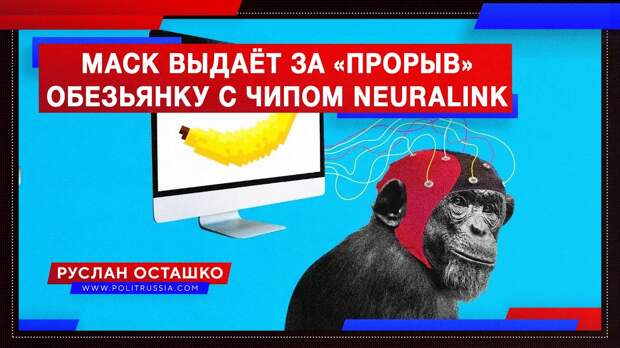 Маск выдаёт за «прорыв» обезьянку с чипом Neuralink