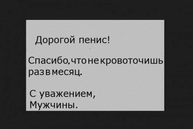 Интересные и смешные картинки (54 фото)