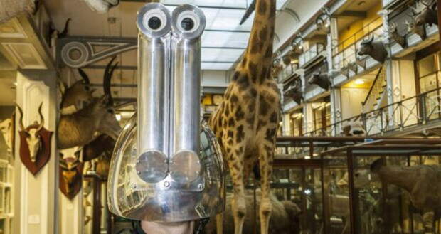 animal-vision-helmets2