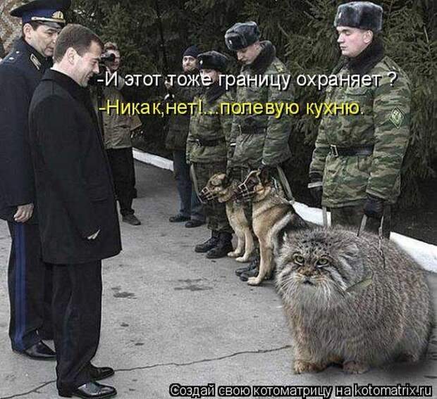 Мысли вслух :)