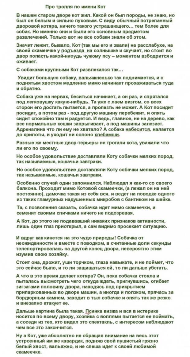 Анекдоты, соц-сети и картинки с надписями