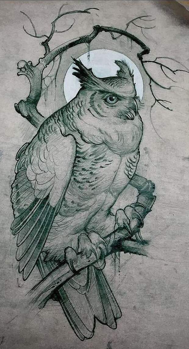 Эскиз татуировки совы на ветке