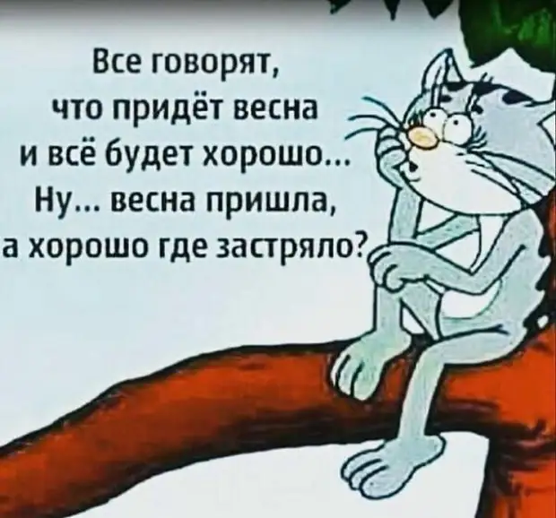 Перегар — это потому что у тебя внутри что-то доброе и светлое перегорело очень, деньги, считают, которые, детьми, вопрос, наложил, разное, женщин, стало, трудно, доходами, всегда, строй, Например, Откуда, скупердяй, говорят, нужны, бабушке