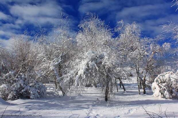 Крым Зимой