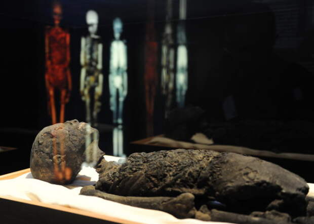 A replica of Tutankhamun's mummy is on d