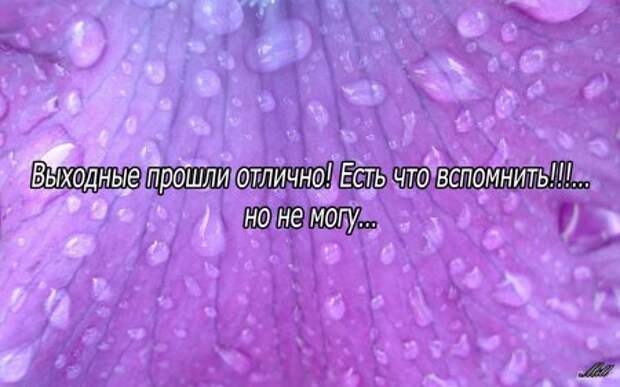 ПРИКОЛЬНЕНЬКО) В КАРТИНКАХ)))