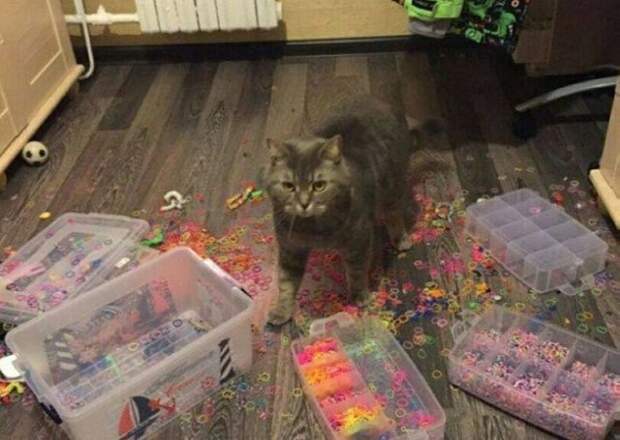 Неудачный день неудача, прикол, юмор
