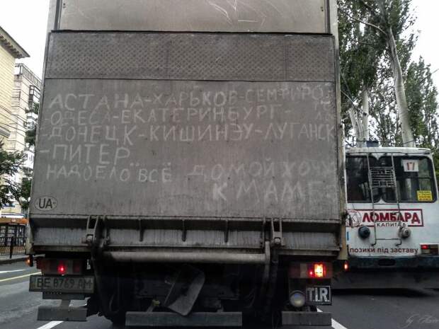 Прикольные картинки