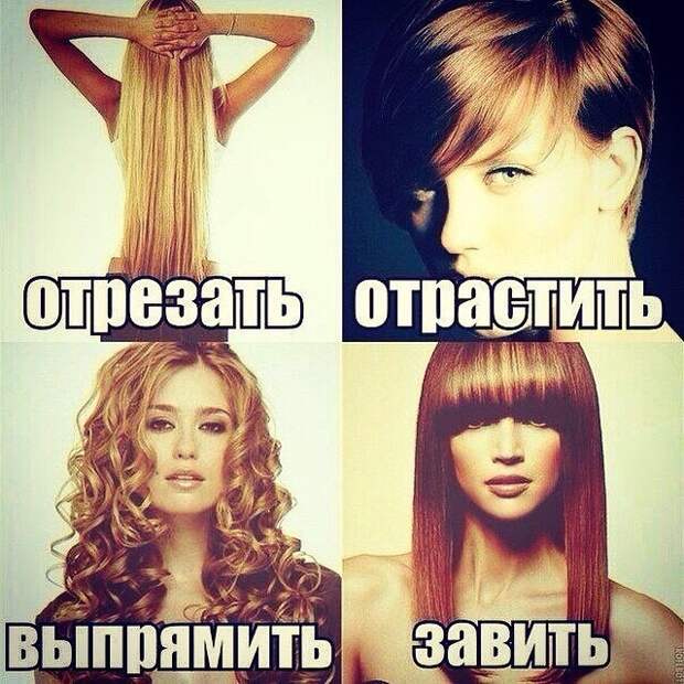 Перед вами главная проблема в жизни каждой женщины  девушки, женская логика, женщины, прикол, юмор