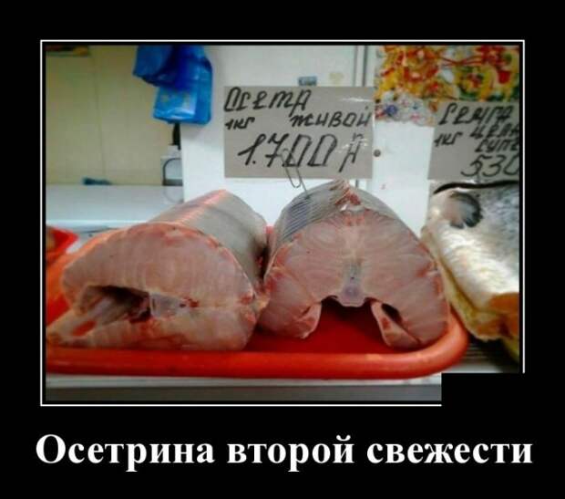 Демотиваторы (30 фото)