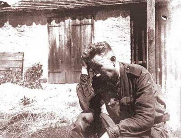 Фронтовые фотографии Алексея Макаровича Смирнова Фронтовые фотографии Алексея Макаровича Смирнова