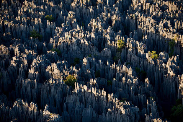 MM7820 090512 14293 Каменный лес на Мадагаскаре
