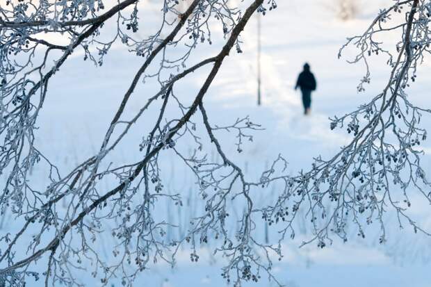 Москвичам назвали срок возвращения 20-градусных морозов