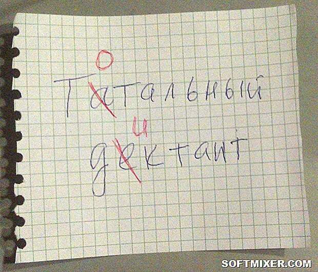 3_17106_pic_тотальный диктант