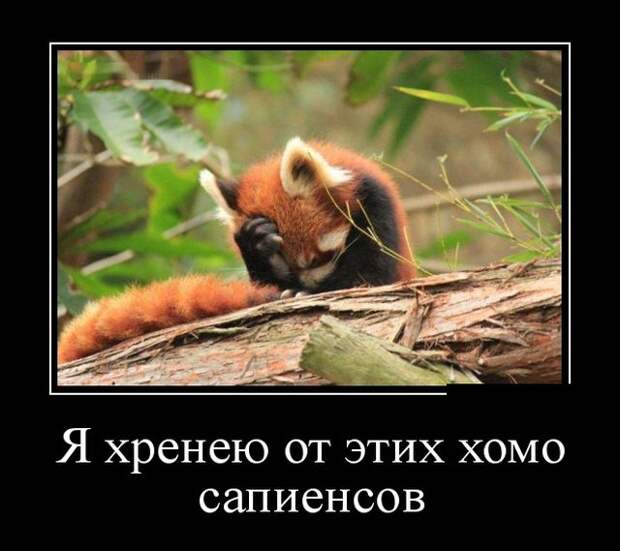 Демотиваторы (30 фото)