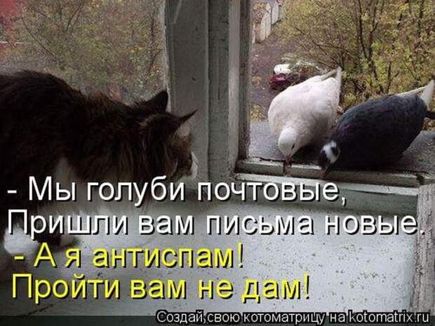 Мысли вслух :)