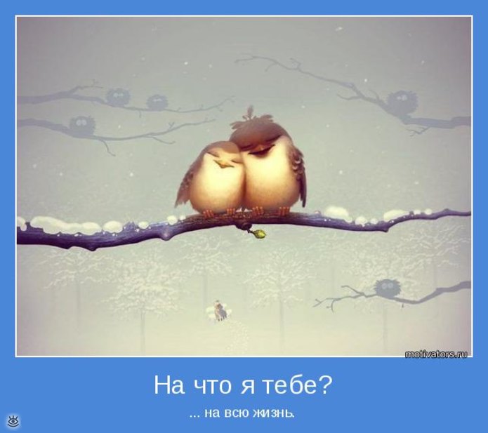 Объяснительная в полиции))