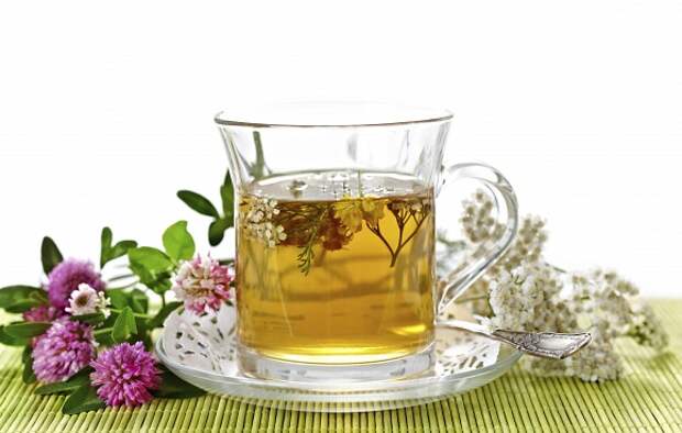 13 ароматных и полезных видов чая :: Тысячелистник запор