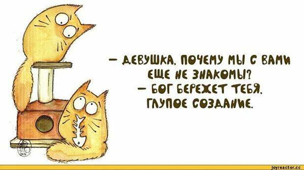 fullsize.jpg