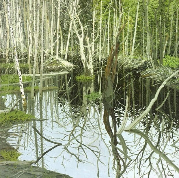 Breached Beaver Dam (651x648, 576Kb)